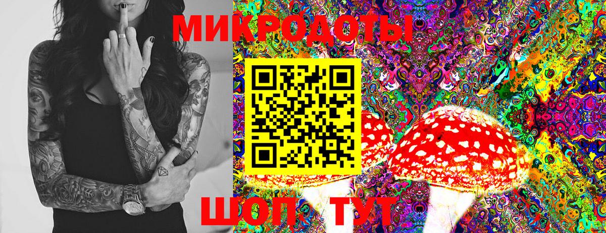 Галлюциногенные грибы GOLDEN TEACHER  где можно купить наркотик  Тосно  Псилоцибиновые грибы MAGIC MUSHROOMS  Вход с VPN 