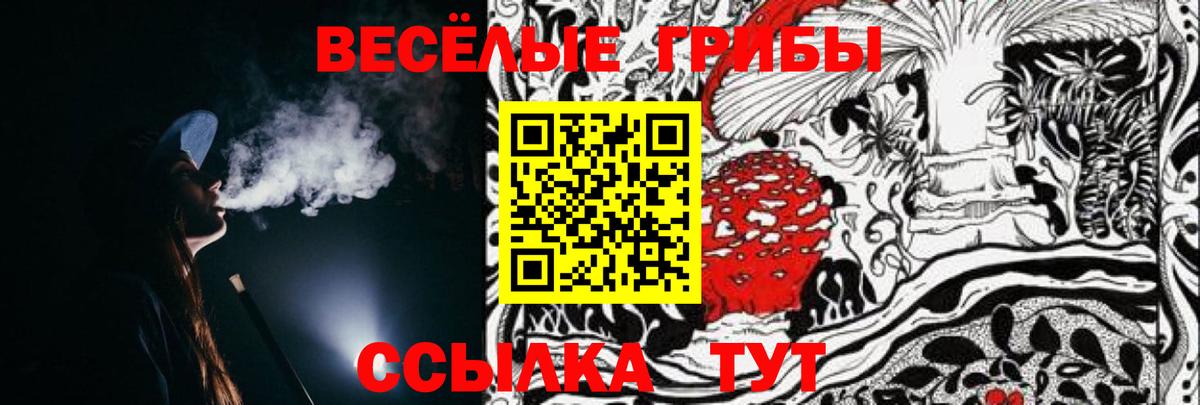Псилоцибиновые грибы Cubensis Тосно