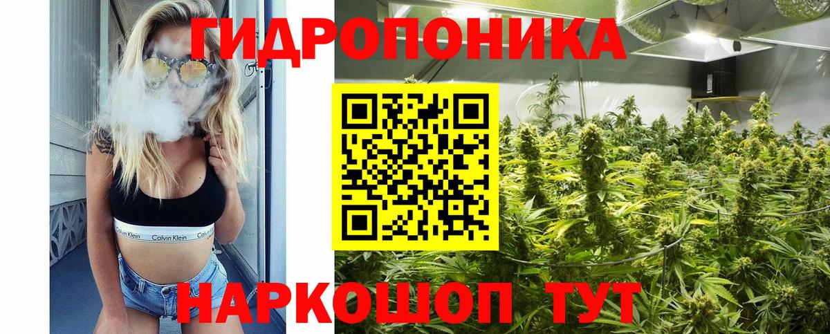 Конопля план Тосно